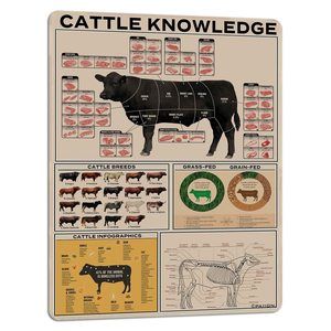 Cattle Knowledge Metal Tin Sign Breed Information Poster Animal Farm Anatomy🧐